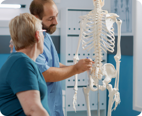  Human Humerus 2 Pieces, Earth-Tone Brown Relic, Left and Right  Arm Bones Replica Life Size for Anatomical - Medical School Studies :  Industrial & Scientific